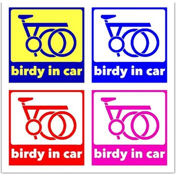 birdy in car old 1.jpg